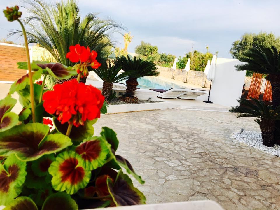 Carone Suite-Charme&Pool Polignano a Mare Εξωτερικό φωτογραφία